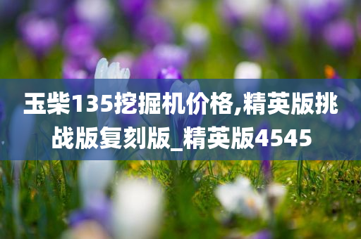 玉柴135挖掘机价格,精英版挑战版复刻版_精英版4545