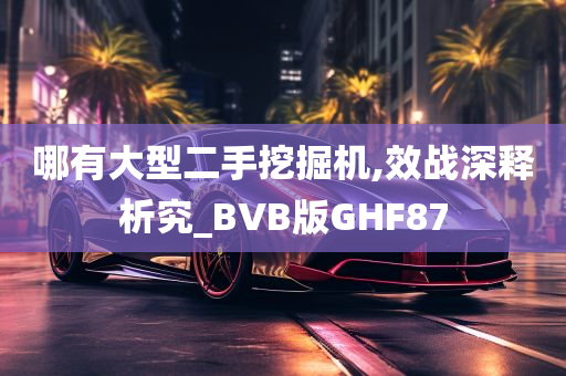 哪有大型二手挖掘机,效战深释析究_BVB版GHF87