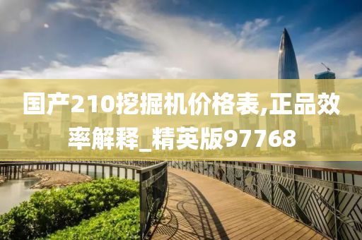 国产210挖掘机价格表,正品效率解释_精英版97768