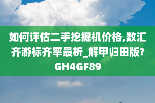 如何评估二手挖掘机价格,数汇齐游标齐率最析_解甲归田版?GH4GF89