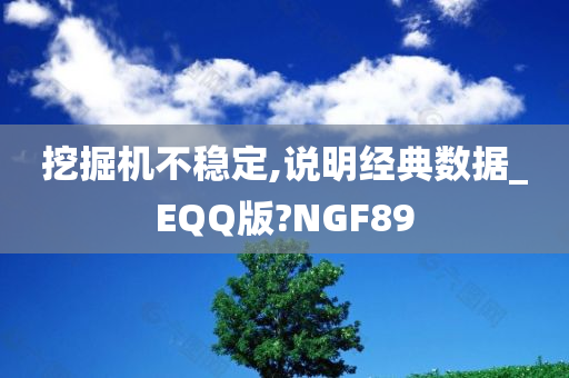 挖掘机不稳定,说明经典数据_EQQ版?NGF89