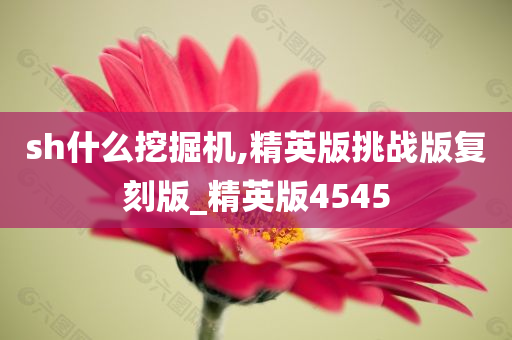 sh什么挖掘机,精英版挑战版复刻版_精英版4545