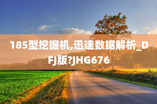 185型挖掘机,迅速数据解析_DFJ版?JHG676