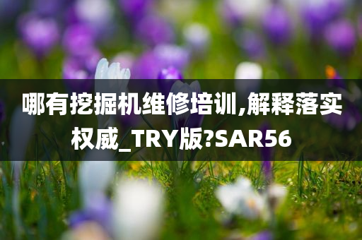 哪有挖掘机维修培训,解释落实权威_TRY版?SAR56