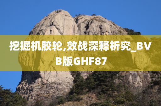 挖掘机胶轮,效战深释析究_BVB版GHF87