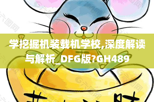 学挖掘机装载机学校,深度解读与解析_DFG版?GH489