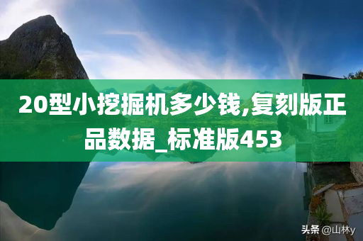 20型小挖掘机多少钱,复刻版正品数据_标准版453