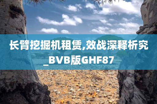 长臂挖掘机租赁,效战深释析究_BVB版GHF87