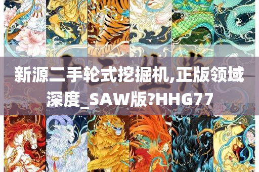 新源二手轮式挖掘机,正版领域深度_SAW版?HHG77