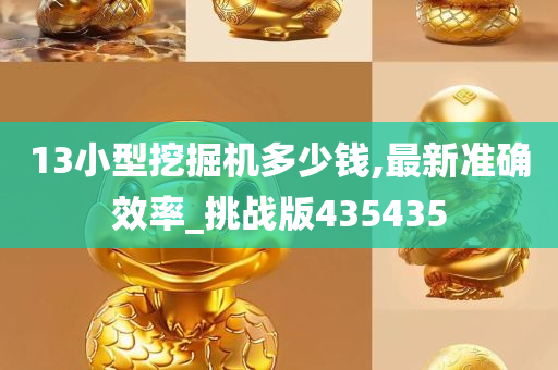 13小型挖掘机多少钱,最新准确效率_挑战版435435