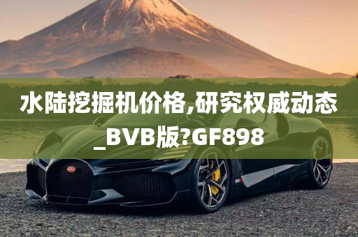 水陆挖掘机价格,研究权威动态_BVB版?GF898