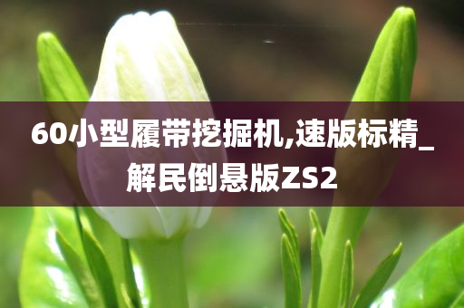 60小型履带挖掘机,速版标精_解民倒悬版ZS2