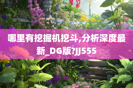 哪里有挖掘机挖斗,分析深度最新_DG版?JJ555