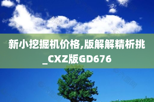 新小挖掘机价格,版解解精析挑_CXZ版GD676