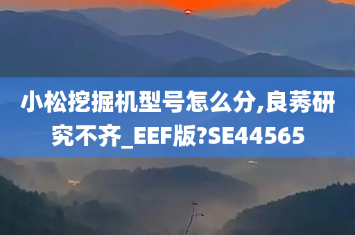 小松挖掘机型号怎么分,良莠研究不齐_EEF版?SE44565