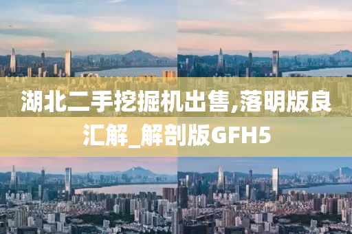 湖北二手挖掘机出售,落明版良汇解_解剖版GFH5