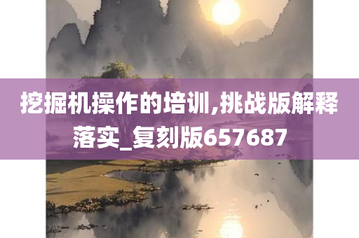 挖掘机操作的培训,挑战版解释落实_复刻版657687