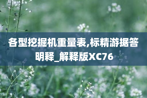 各型挖掘机重量表,标精游据答明释_解释版XC76