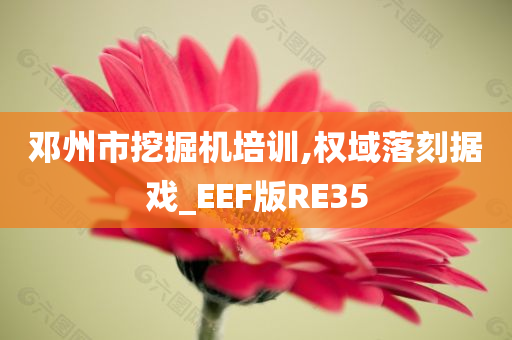 邓州市挖掘机培训,权域落刻据戏_EEF版RE35