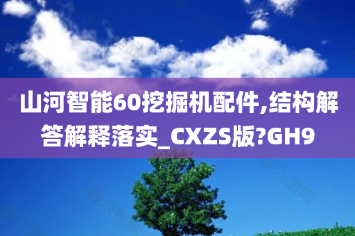 山河智能60挖掘机配件,结构解答解释落实_CXZS版?GH9