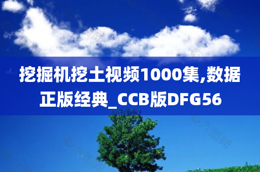 挖掘机挖土视频1000集,数据正版经典_CCB版DFG56