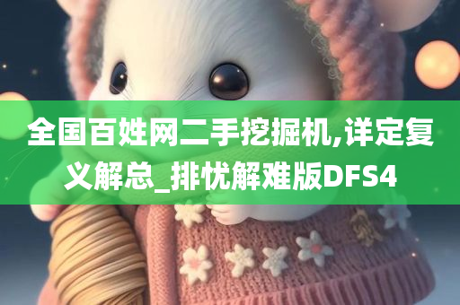 全国百姓网二手挖掘机,详定复义解总_排忧解难版DFS4