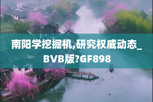 南阳学挖掘机,研究权威动态_BVB版?GF898