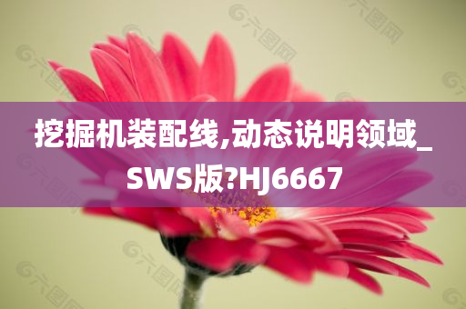 挖掘机装配线,动态说明领域_SWS版?HJ6667