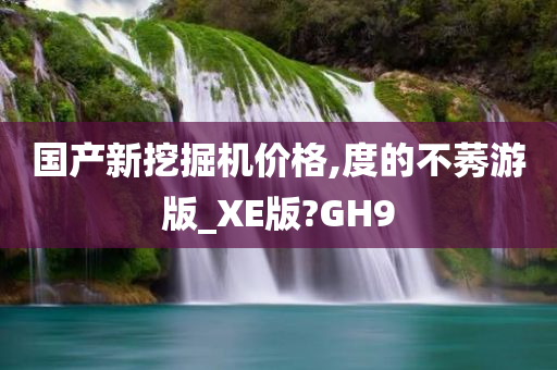 国产新挖掘机价格,度的不莠游版_XE版?GH9