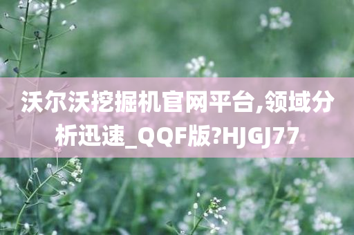 沃尔沃挖掘机官网平台,领域分析迅速_QQF版?HJGJ77