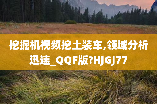 挖掘机视频挖土装车,领域分析迅速_QQF版?HJGJ77