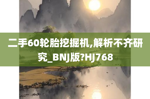 二手60轮胎挖掘机,解析不齐研究_BNJ版?HJ768