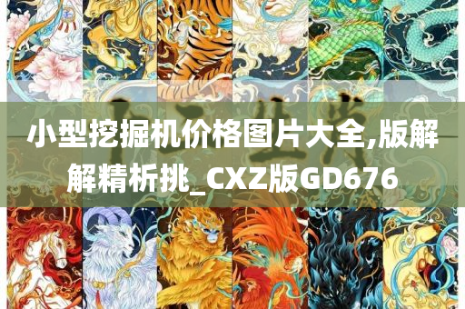 小型挖掘机价格图片大全,版解解精析挑_CXZ版GD676