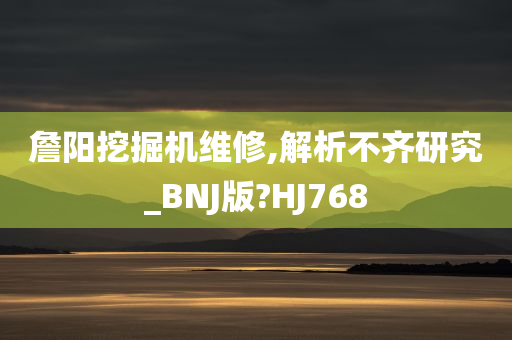 詹阳挖掘机维修,解析不齐研究_BNJ版?HJ768