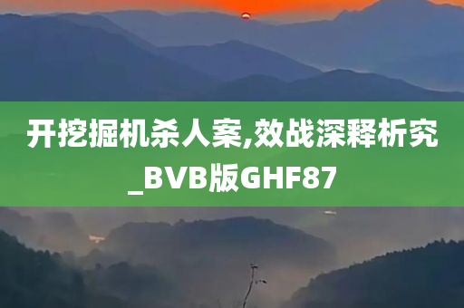 开挖掘机杀人案,效战深释析究_BVB版GHF87