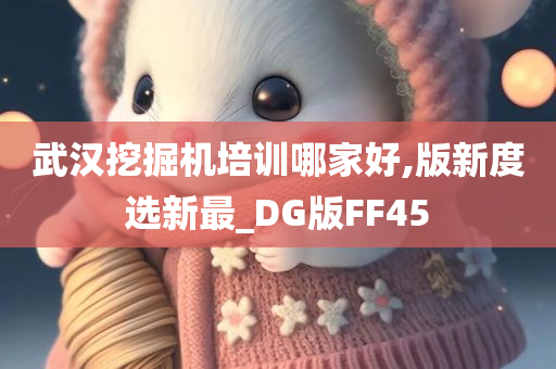 武汉挖掘机培训哪家好,版新度选新最_DG版FF45