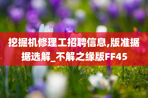 挖掘机修理工招聘信息,版准据据选解_不解之缘版FF45