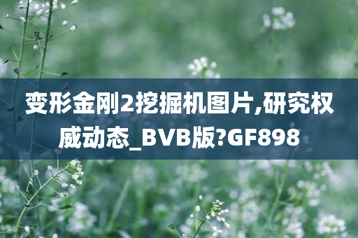 变形金刚2挖掘机图片,研究权威动态_BVB版?GF898