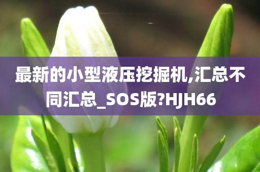 最新的小型液压挖掘机,汇总不同汇总_SOS版?HJH66