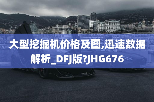 大型挖掘机价格及图,迅速数据解析_DFJ版?JHG676