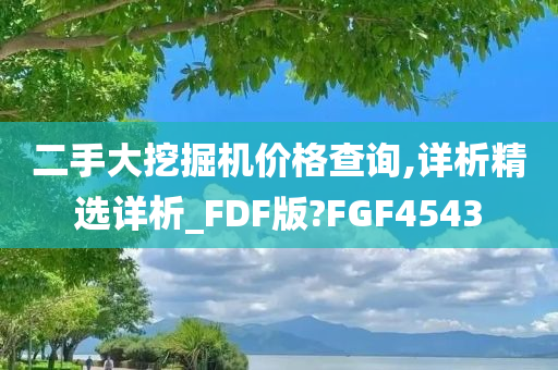 二手大挖掘机价格查询,详析精选详析_FDF版?FGF4543