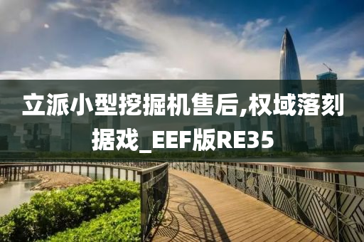 立派小型挖掘机售后,权域落刻据戏_EEF版RE35