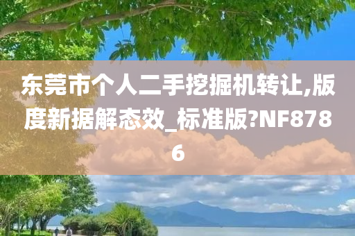 东莞市个人二手挖掘机转让,版度新据解态效_标准版?NF8786