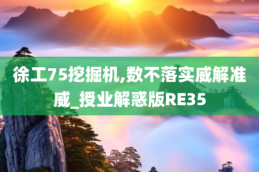 徐工75挖掘机,数不落实威解准威_授业解惑版RE35