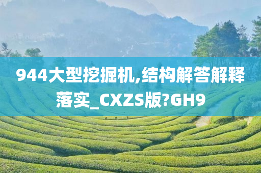 944大型挖掘机,结构解答解释落实_CXZS版?GH9