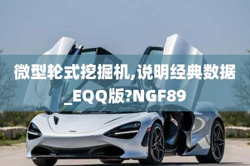 微型轮式挖掘机,说明经典数据_EQQ版?NGF89