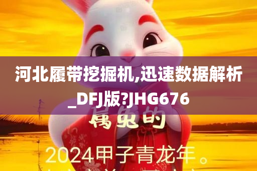 河北履带挖掘机,迅速数据解析_DFJ版?JHG676