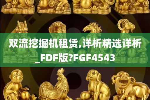 双流挖掘机租赁,详析精选详析_FDF版?FGF4543