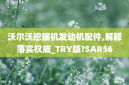 沃尔沃挖掘机发动机配件,解释落实权威_TRY版?SAR56