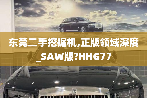 东莞二手挖掘机,正版领域深度_SAW版?HHG77